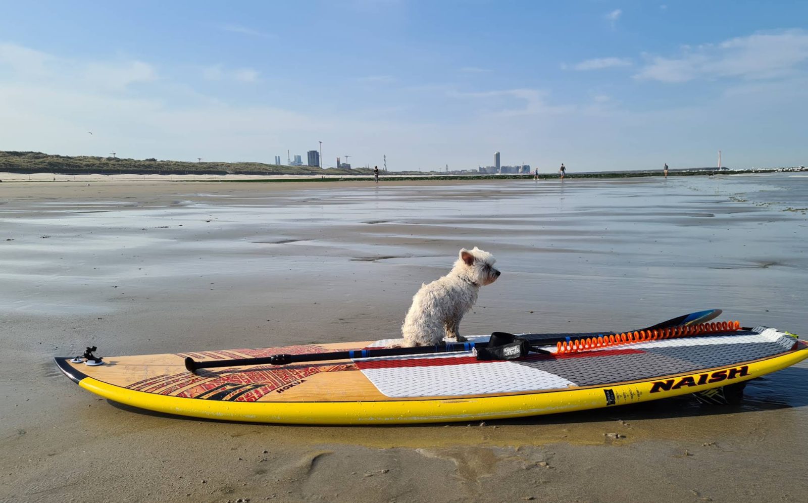 Kite Spot Ostend