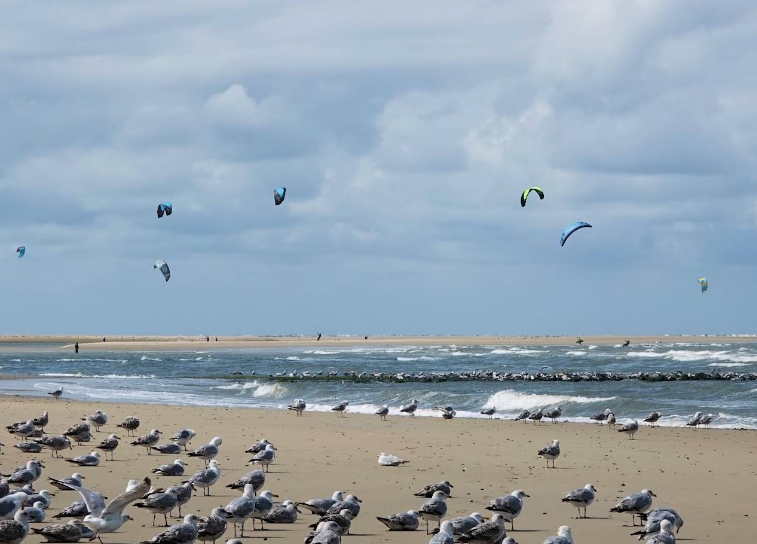 Kite Spot Ouddorp
