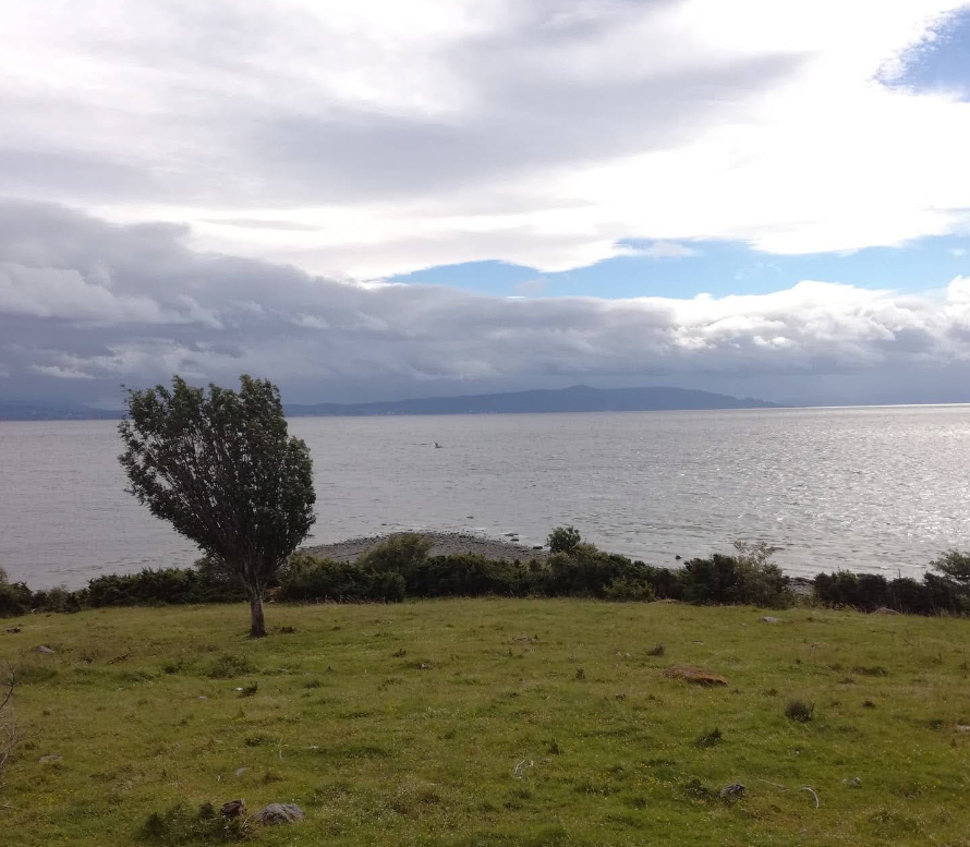 Kite Spot Tautra
